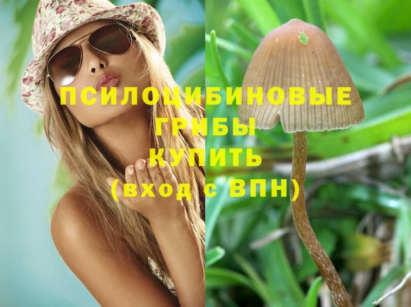 бошки Богданович