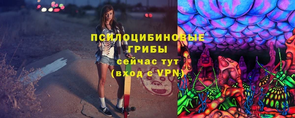 ПСИЛОЦИБИНОВЫЕ ГРИБЫ Богородск