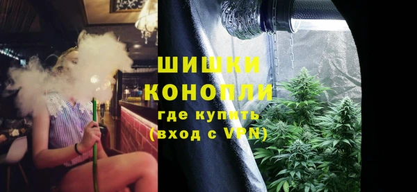 бошки Богданович