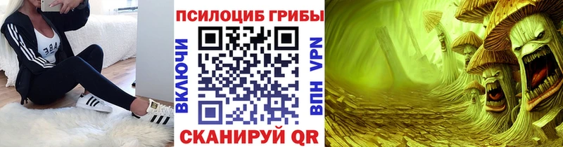 Галлюциногенные грибы Psilocybe  Липецк 