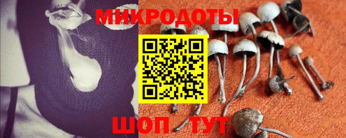 Галлюциногенные грибы Magic Shrooms  где можно купить наркотик  Липецк  Псилоцибиновые грибы прущие грибы  Вход с VPN 