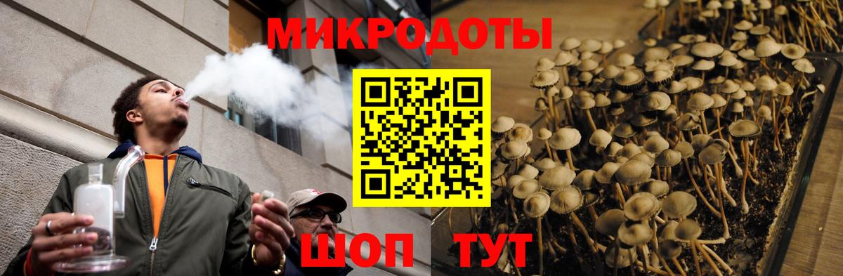 Галлюциногенные грибы Magic Shrooms Липецк